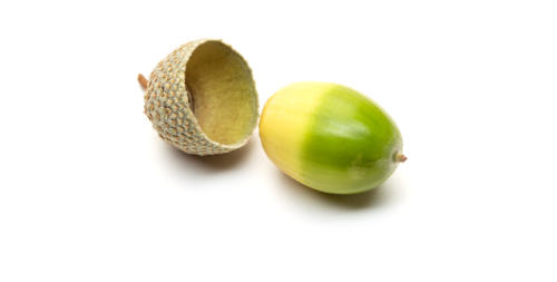 Bellota Contacto Carnicería La Peñalta