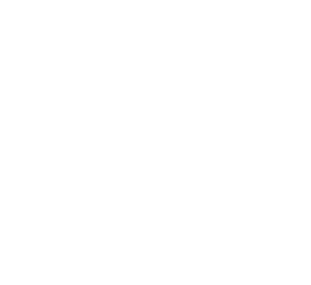 PRODUCTOS ARTESANOS DEL CERDO